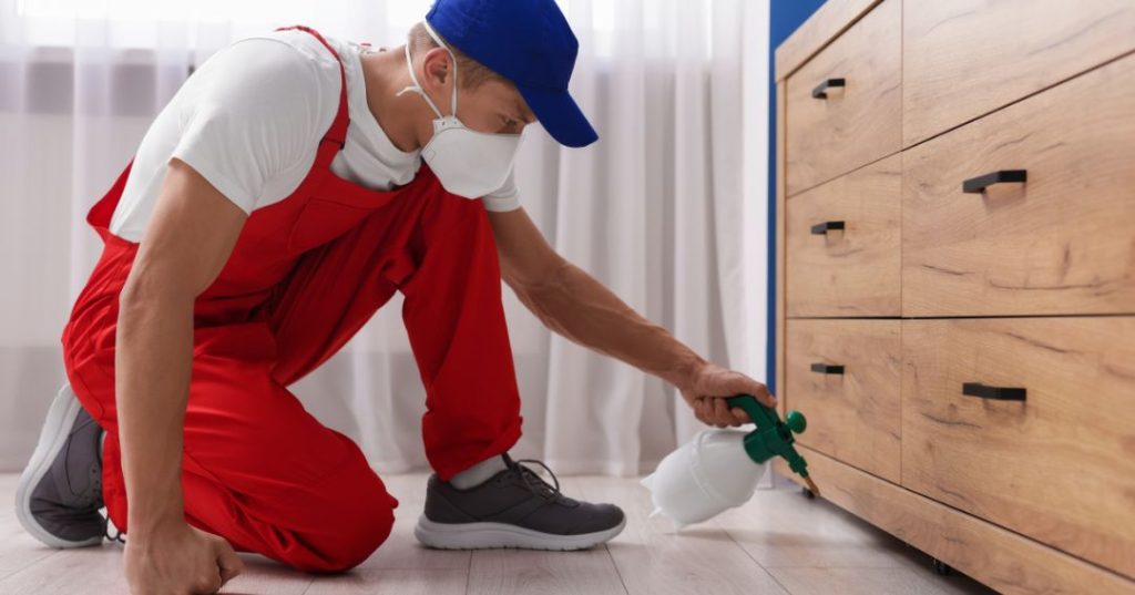 capa dedetizacao em Vitória